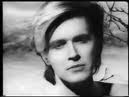 David Sylvian